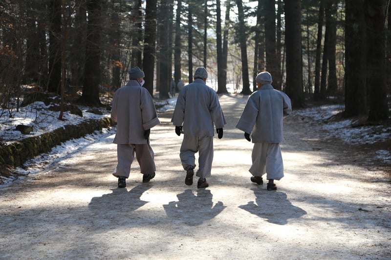 Meditation Walks